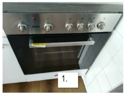 ELEKTRIČNA PEČICA IGNIS