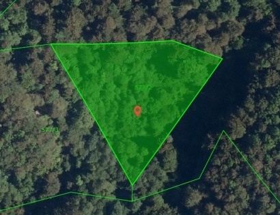 Gozd - Zgornja Rečica, 3270 Laško