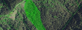 Gozdno, kmetijsko zemljišče - Zgornje Gruškovje, 2286 Podlehnik