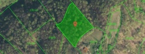Gozdno zemljišče - Cesta, 8270 Krško