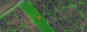 Gozdno zemljišče - Sela pri Dobovi, 8257 Dobova