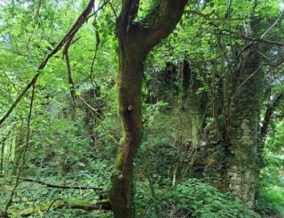 Gozdno zemljišče - Zapotok, 5213 Kanal