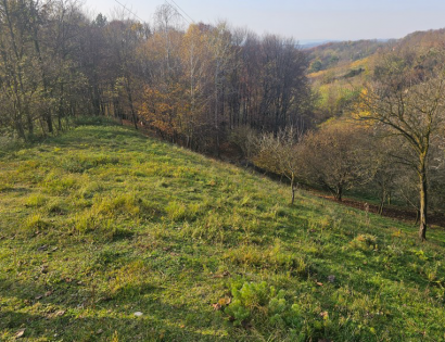 Ostalo - / /, 2252 Dornava