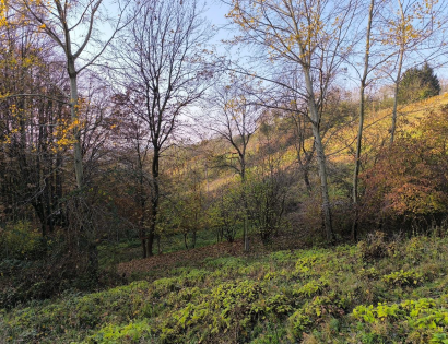 Ostalo - / /, 2252 Dornava