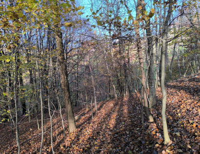 Ostalo - / /, 2252 Dornava