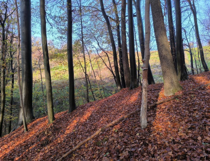 Ostalo - / /, 2252 Dornava