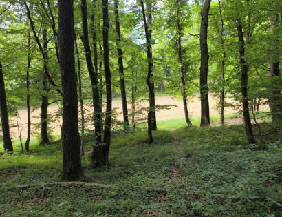 Ostalo - / /, 2253 Destrnik