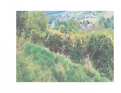 Ostalo - / /, 2310 Slovenska Bistrica
