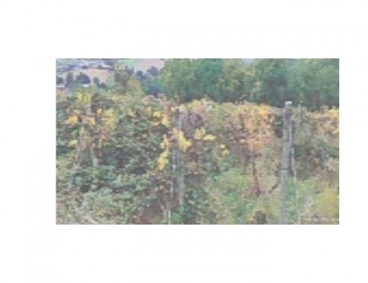 Ostalo - / /, 2310 Slovenska Bistrica