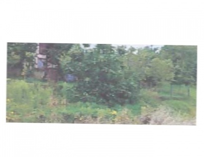 Ostalo - / /, 2310 Slovenska Bistrica