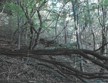 Ostalo - / /, 2321 Makole