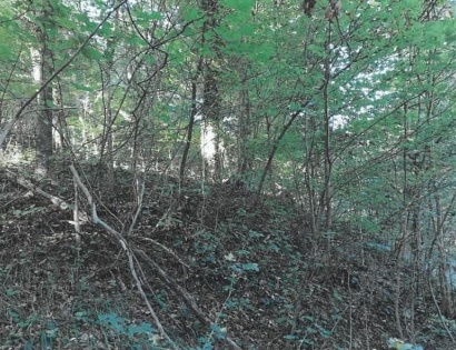 Ostalo - / /, 2321 Makole