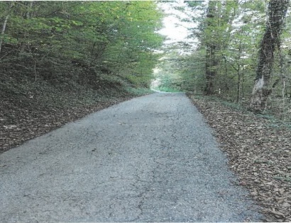 Ostalo - / /, 2321 Makole