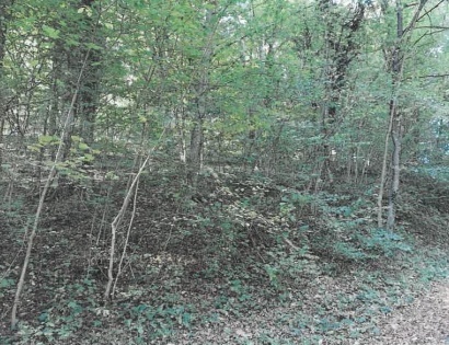 Ostalo - / /, 2321 Makole