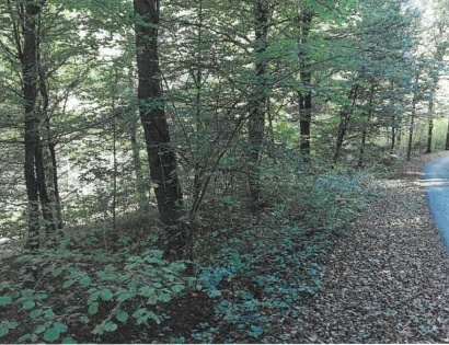 Ostalo - / /, 2321 Makole