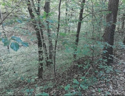 Ostalo - / /, 2321 Makole