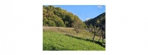 Ostalo - / /, 2321 Makole