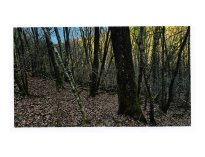 Ostalo - 2622 2344, 6272 Gračišče