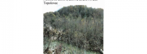 Ostalo - 2622 2357/2, 6272 Gračišče