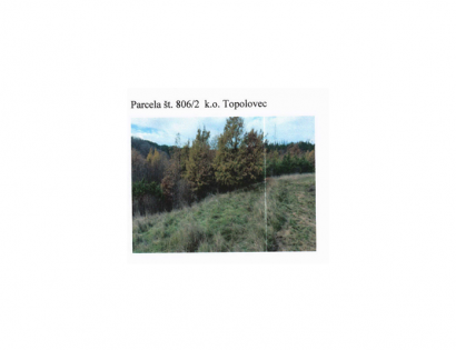 Ostalo - 2622 806/2, 6272 Gračišče