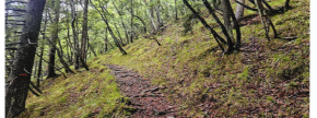 Ostalo - ---- ----, 4294 Križe