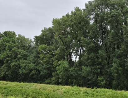 Ostalo - delež v Urbarialni skupnosti Lendava, 9220 Lendava/Lendva