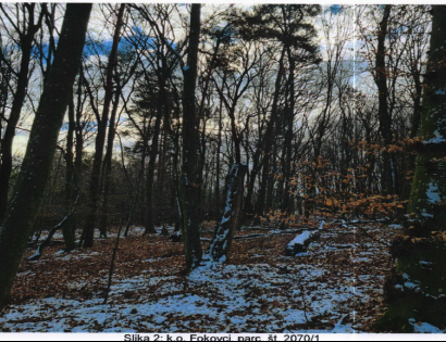 Ostalo - Fokovci /, 9208 Fokovci