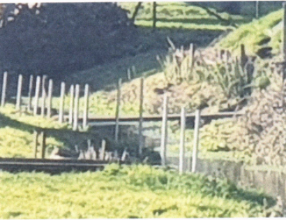 Ostalo - Gajevci 23/a, 2272 Gorišnica