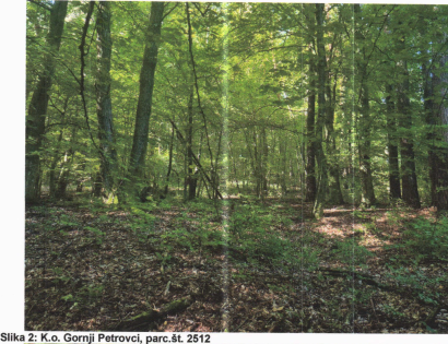 Ostalo - Gornji Petrovci  /, 9203 Petrovci