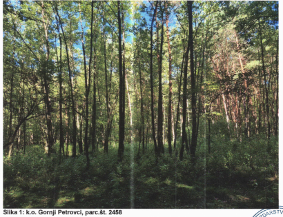 Ostalo - Gornji Petrovci  /, 9203 Petrovci