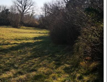 Ostalo - k.o. 2384 parc. 787, 5262 Črniče