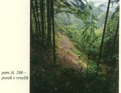 Ostalo - k.o. Lenart  , 4227 Selca