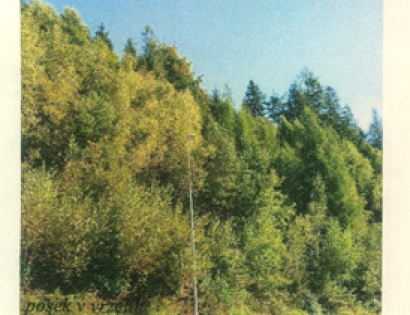 Ostalo - k.o. Lenart  , 4227 Selca