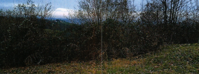 Ostalo - k.o. Ložane /, 2231 Pernica