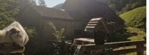 Ostalo - Koprivna 47, 2393 Črna na Koroškem