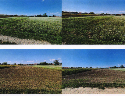 Ostalo - Krog /, 9000 Murska Sobota