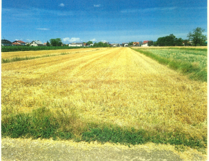 Ostalo - Krog /, 9000 Murska Sobota