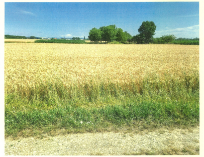 Ostalo - Krog /, 9000 Murska Sobota