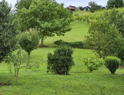 Ostalo - Lendavske Gorice 439 (izkrčen vinograd), 9220 Lendava/Lendva
