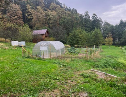 Ostalo - Letuš 80a, 3327 Šmartno ob Paki
