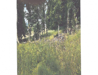 Ostalo - Lomanoše ., 9250 Gornja Radgona