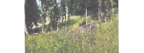 Ostalo - Lomanoše ., 9250 Gornja Radgona
