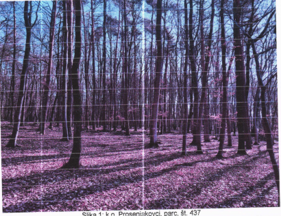 Ostalo - Prosenjakovci  /, 9207 Prosenjakovci/Partosfalva