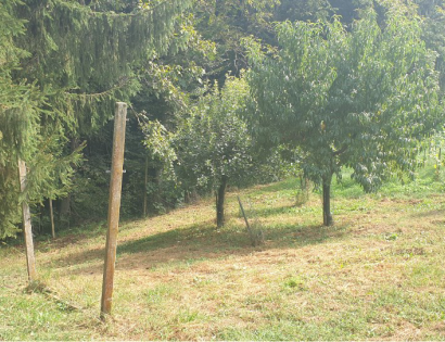 Ostalo - Tibolci /, 2272 Gorišnica