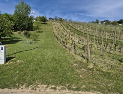 Ostalo - zatravljeni vinograd  na parc. št. 4660/1 k.o. 166-Lendava, 9220 Lendava/Lendva