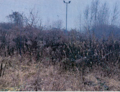 Ostalo - Zgornje Pirniče /, 1215 Medvode