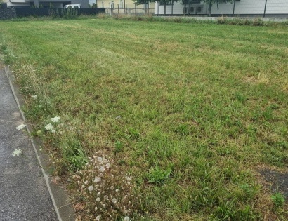 Parcela - Gorenjska, Kranj