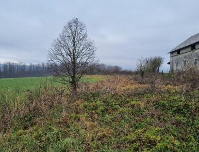 Stavbno in kmetijsko zemljišče - Velika Brda, 6225 Velika Brda